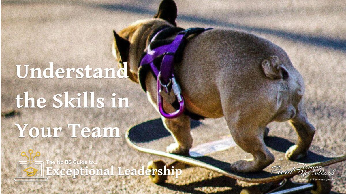 A French poodle on a skateboard on concrete signifying exceptional leaders understand the skills on the team