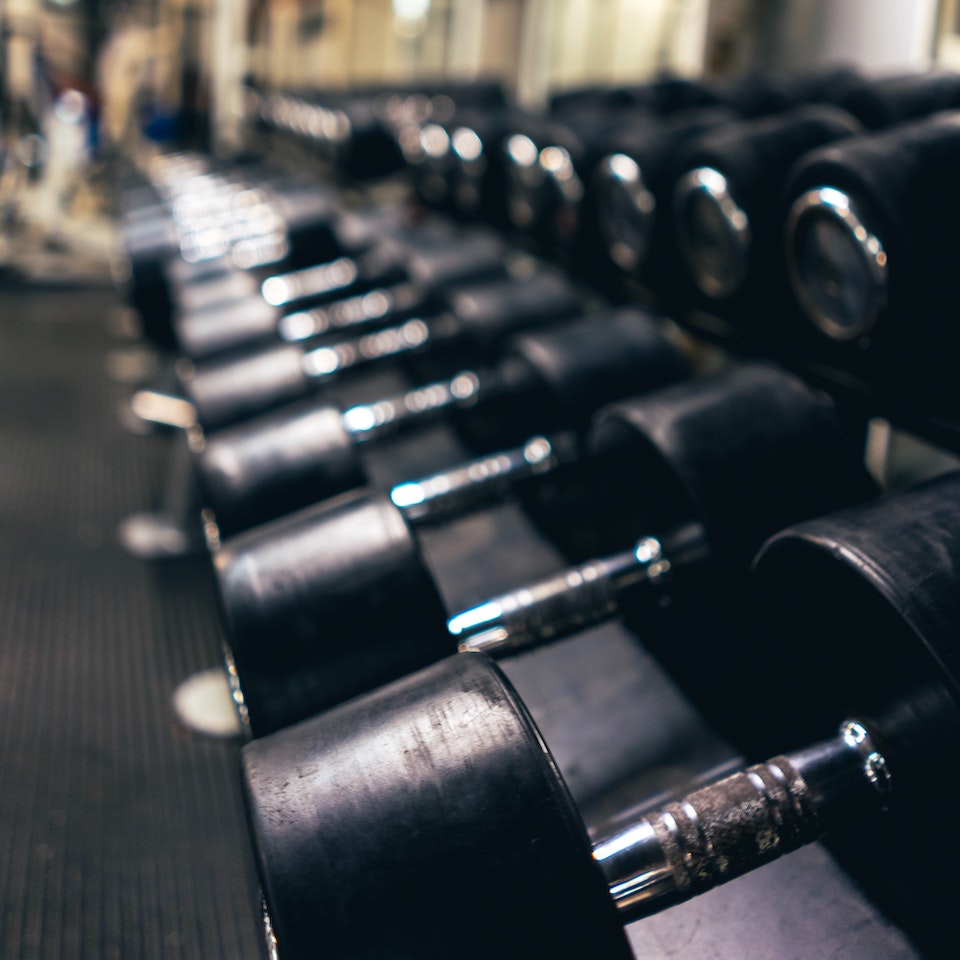 Dumbells on a rack in a gym